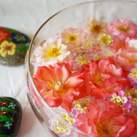 Hotel şato Triopia Butik